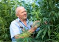 Tips for Growing Grape Ape Cannabis Seeds