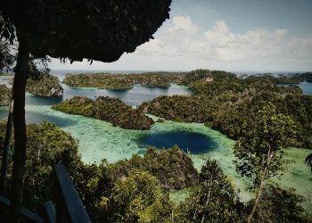 Discover Papua New Guinea with Ease Through Offvisa Travel Company’s E-Visa Services!