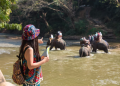 How to Book All-Inclusive Vietnam Tour Packages with Flamingo Transworld