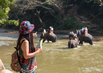 How to Book All-Inclusive Vietnam Tour Packages with Flamingo Transworld